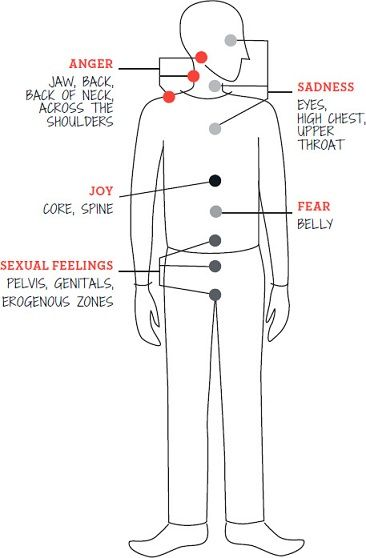 LOCATING FEELINGS：人体情绪地图——怒在下巴/后背/肩颈与手臂，悲在眼/前胸/喉，喜在核心/脊柱，惧在腹部，性在骨盆/生殖区/性敏感带。让身体带你抵达觉察