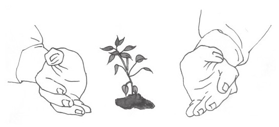 第4律 插图
