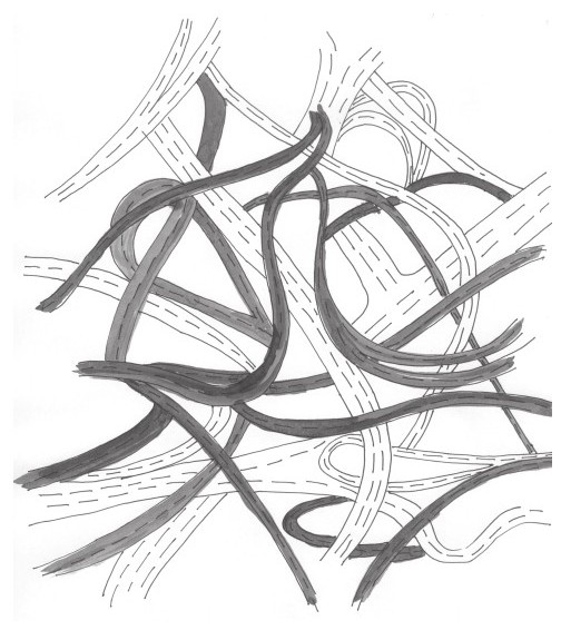 第16律 插图