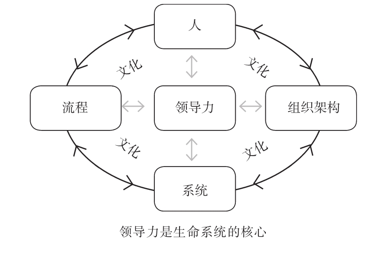 图17 生命系统