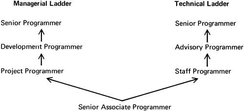 Figure 11-1：IBM 的管理/技术