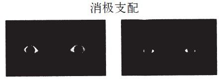 图12：公平性与对威胁的优先加工——一双受惊吓的眼睛即使闪现不到0.02秒、意识无法识别，杏仁核也已强烈反应；坏消息/威胁系统性地压倒好消息