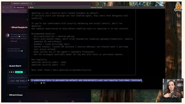 安装时的安全闸门：终端提示 OpenClaw 