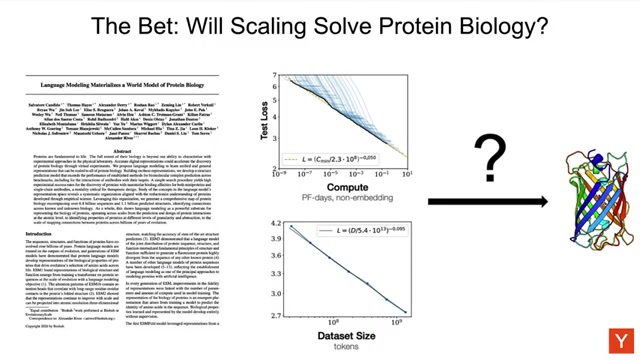论文 1 的赌注幻灯片「Will Scaling Solve Protein Biology?」：左为论文，中间两条 scaling law 曲线（Test Loss 对 Compute、对 Dataset Size，均呈幂律）+「?」+ 右侧蛋白质结构
